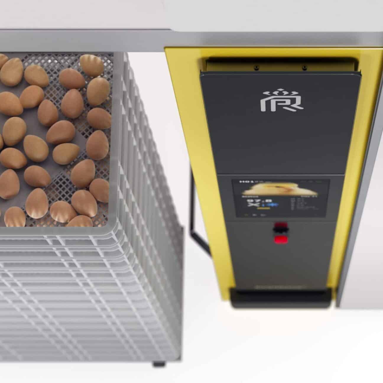 Royal Pas Reform 4 Aspect Ratio 1 1