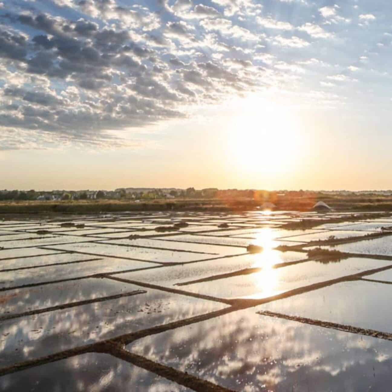 Salins 1 Aspect Ratio 1 1