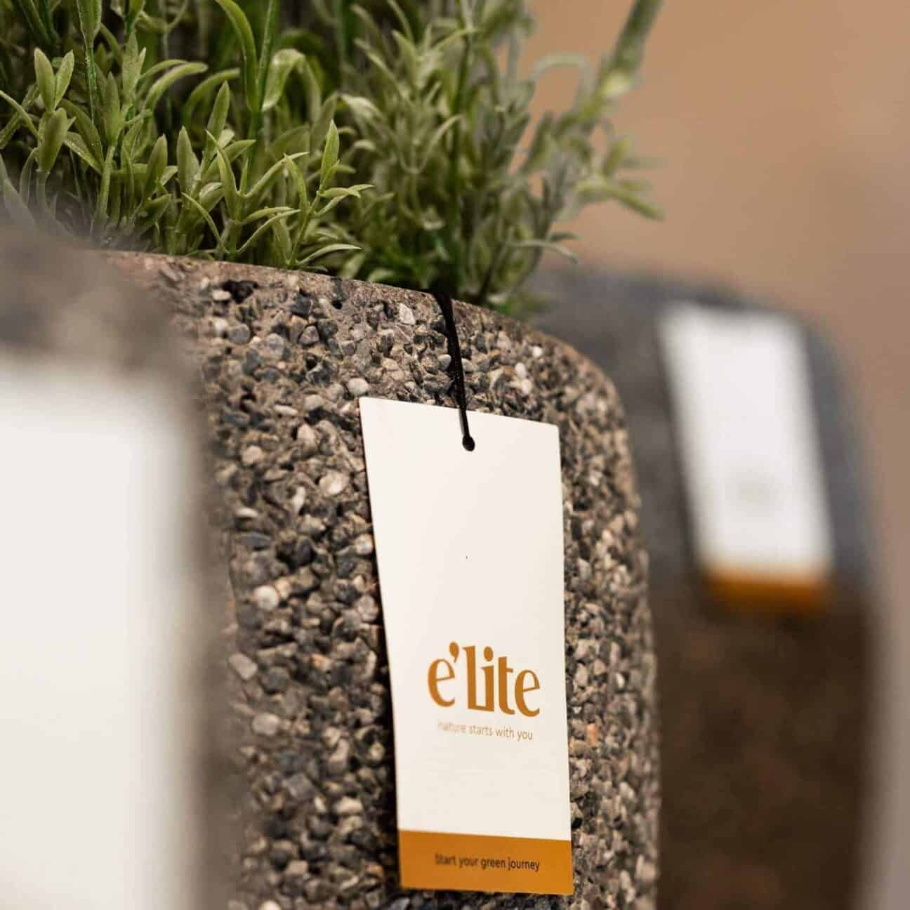 Tel International 2 1 Aspect Ratio 1 1